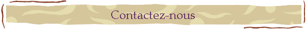 Contactez-nous